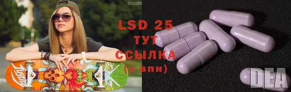 PSILOCYBIN Алзамай