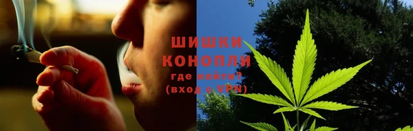 PSILOCYBIN Алзамай