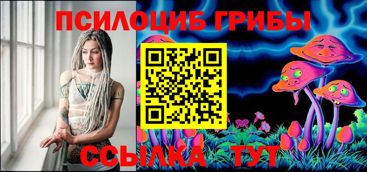 Ковров  Псилоцибиновые грибы Cubensis  Вход с VPN  Псилоцибиновые грибы Cubensis 
