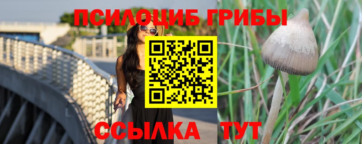 Псилоцибиновые грибы GOLDEN TEACHER Ковров